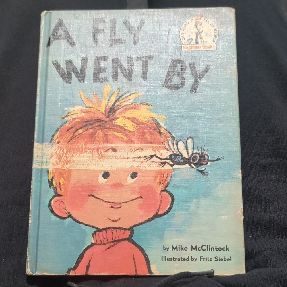 $1 In Anybundle A Fly Went By Children's Book